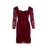 Wine Mini Mesh Dress - Image 6